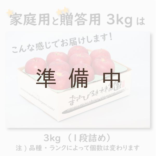 画像4: 葉とらずサンふじ 家庭用 3kg(約9-12個)≪送料込≫ (4)