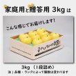 画像4: 【早割】王林　家庭用　３kg（約7-10個） (4)