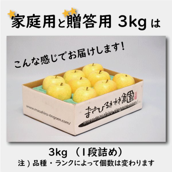 画像4: ぐんま名月　家庭用　３kg（約8-11個）≪送料込≫ (4)