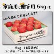 画像4: サンつがる　家庭用　５kg（約14-20個）≪送料込≫ (4)