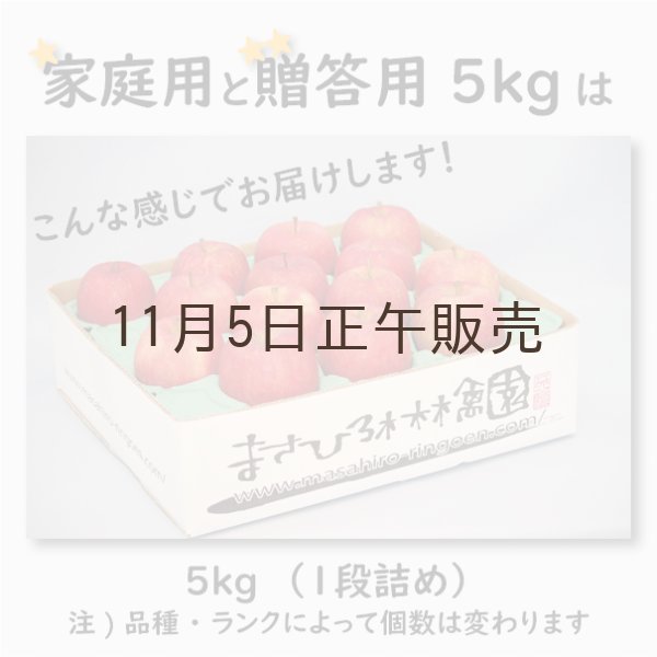画像4: シナノスイート 家庭用 5kg(約14-20個)≪送料込≫ (4)
