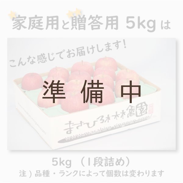 画像5: 葉とらずサンふじ 贈答用 5kg ≪送料込≫ (5)