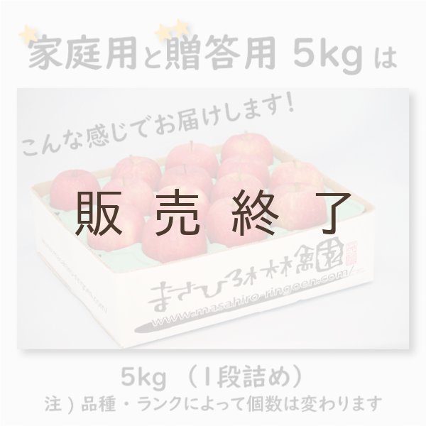画像4: サンつがる　家庭用　５kg（約14-20個）≪送料込≫ (4)