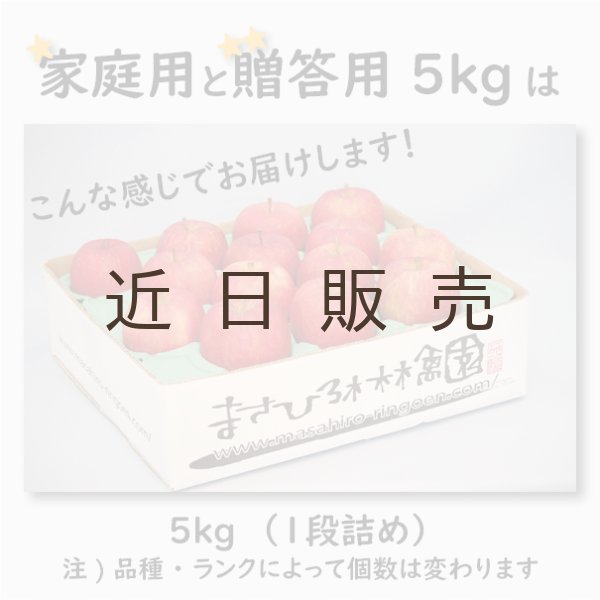 画像4: サンつがる　家庭用　５kg（約14-20個）≪送料込≫ (4)