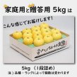 画像4: きおう　家庭用　５kg （約12-20個） (4)