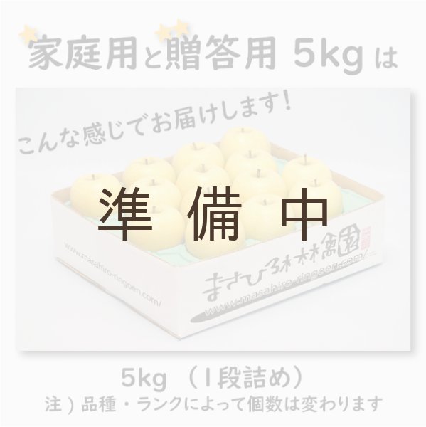 画像4: ぐんま名月 家庭用 5kg(約12-20個)≪送料込≫ (4)