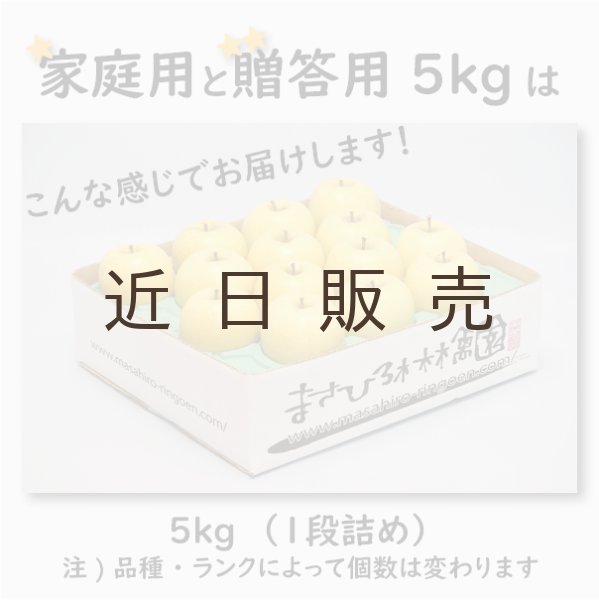 画像4: こうこう　家庭用　５kg（約14-20個）≪送料込≫ (4)