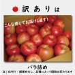 画像4: ※10月下旬発送※ シナノスイート　訳あり　１０kg（約40個前後）≪送料込≫ (4)