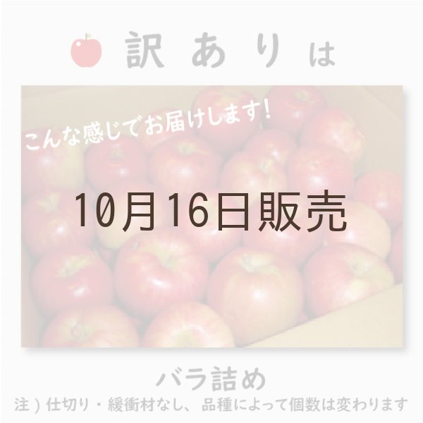 画像4: ※10月中旬〜下旬発送※ 千雪　訳あり　１０kg（約40個前後）≪送料込≫ (4)