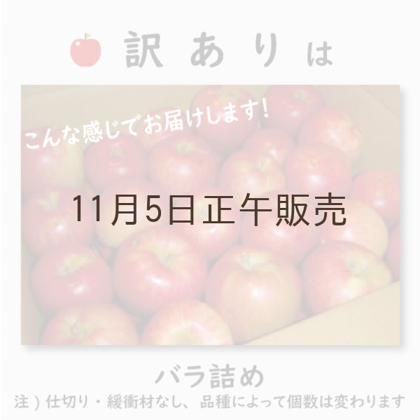 画像4: ぐんま名月　訳あり　５kg（約20個程度）≪送料込≫ (4)