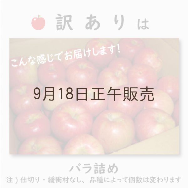 画像4: ※10月中旬発送予定※ おいらせ　訳あり　５kg（約14個前後）≪送料込≫ (4)