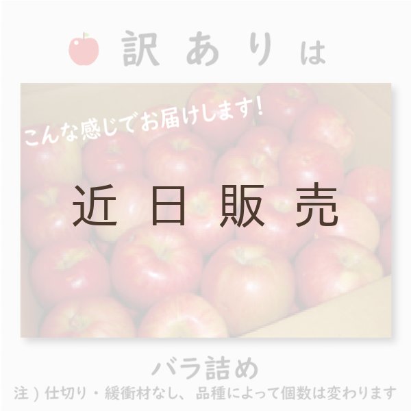 画像4: はるか　訳あり　３kg（約10個程度）≪送料込≫ (4)