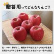 画像3: 葉とらずサンふじ　贈答用　１０kg (3)