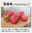 画像2: 【ニコイチセット】葉とらずサンふじ＆はるか　家庭用　３kg×２箱 (2)