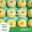 画像2: ※8月中旬発送予定※ メルシー　家庭用　５kg（約14-20個）≪送料込≫ (2)
