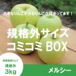画像2: ※8月中旬発送予定※ メルシー 規格外サイズコミコミBOX ３kg ≪送料込≫ (2)