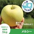 画像1: ※8月中旬発送予定※ メルシー　家庭用　５kg（約14-20個）≪送料込≫ (1)