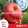 画像1: 未希ライフ　訳あり　５kg（約20個程度）≪送料込≫ (1)