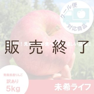 シナノゴールド【訳あり10kg】｜まさひろ林檎園