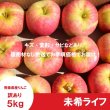 画像2: 未希ライフ　訳あり　５kg（約20個程度）≪送料込≫ (2)