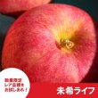 画像3: 未希ライフ　家庭用　３kg （約10-15個）≪送料込≫ (3)