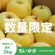 画像1: ちいかが(ちいさなもりのかがやき)　混み(家庭用、訳ありMIX)　約３.５kg （約15〜18個）≪送料込≫ (1)