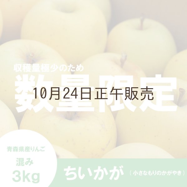 画像1: ちいかが(ちいさなもりのかがやき)　混み(家庭用、訳ありMIX)　約３.５kg （約15〜18個）≪送料込≫ (1)