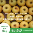 画像2: ちいかが(ちいさなもりのかがやき)　混み(家庭用、訳ありMIX)　約３.５kg （約15〜18個）≪送料込≫ (2)