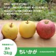 画像3: ちいかが(ちいさなもりのかがやき)　混み(家庭用、訳ありMIX)　約３.５kg （約15〜18個）≪送料込≫ (3)