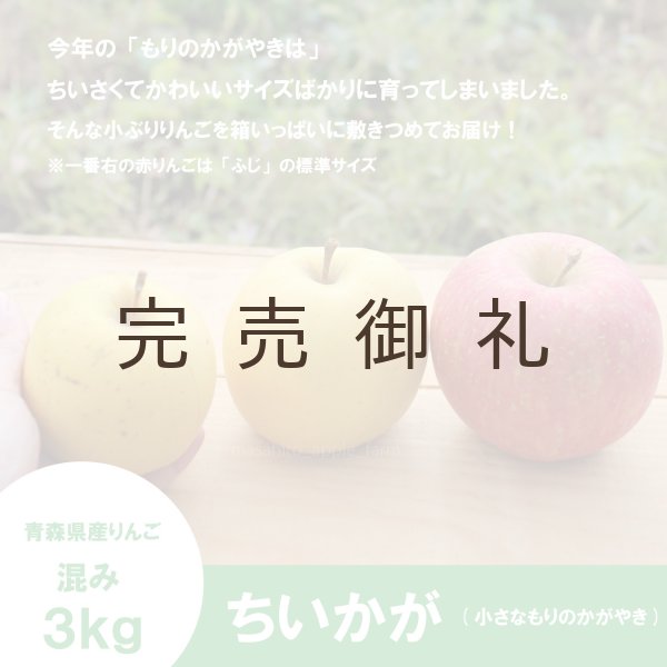 画像3: ちいかが(ちいさなもりのかがやき)　混み(家庭用、訳ありMIX)　約３kg （約15〜18個）≪送料込≫ (3)