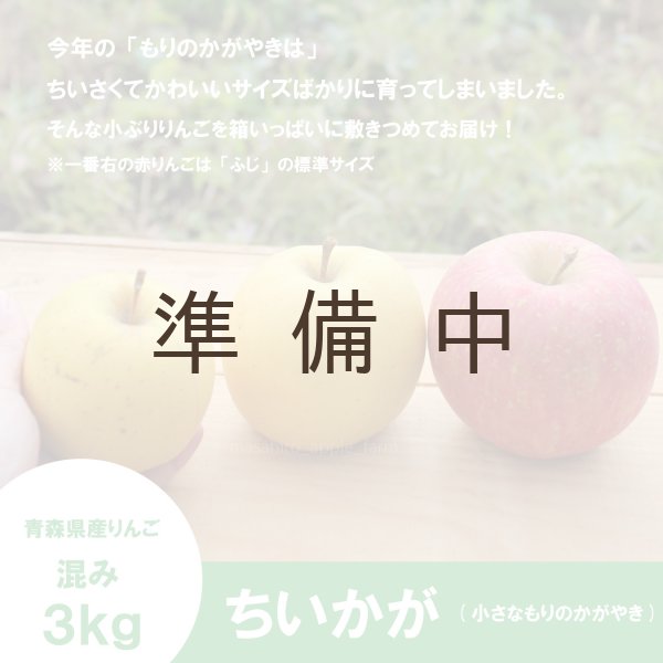 画像3: ちいかが(ちいさなもりのかがやき)　混み(家庭用、訳ありMIX)　約３kg （約15〜18個）≪送料込≫ (3)