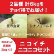 画像1: 【ニコイチセット】星の金貨＆シナノゴールド　家庭用　３kg×２箱 ≪送料込≫ (1)