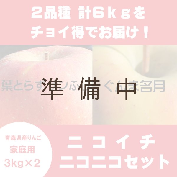 画像1: 【ニコイチセット】葉とらずサンふじ＆ぐんま名月　家庭用　３kg×２箱 ≪送料込≫ (1)