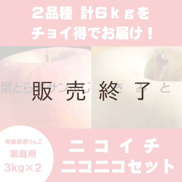 画像1: 【ニコイチセット】葉とらずサンふじ＆きみと　家庭用　３kg×２箱 ≪送料込≫ (1)
