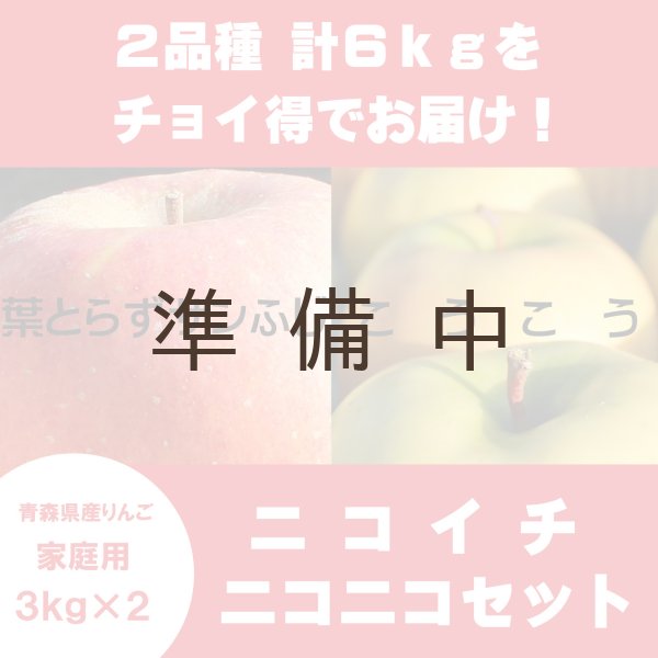 画像1: 【ニコイチセット】葉とらずサンふじ＆こうこう　家庭用　３kg×２箱 ≪送料込≫ (1)