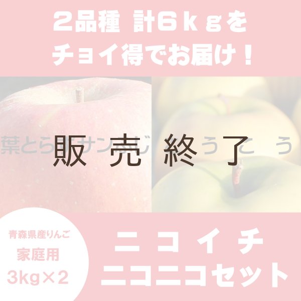 画像1: 【ニコイチセット】葉とらずサンふじ＆こうこう　家庭用　３kg×２箱 ≪送料込≫ (1)