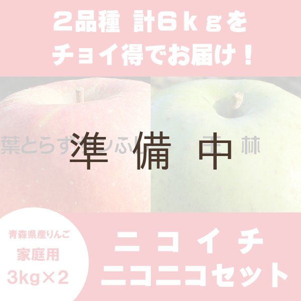 画像1: 【ニコイチセット】葉とらずサンふじ＆王林　家庭用　３kg×２箱 ≪送料込≫ (1)