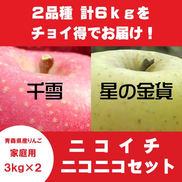 画像1: 【ニコイチセット】千雪＆星の金貨　家庭用　３kg×２箱 ≪送料込≫ (1)