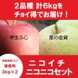 画像1: 【ニコイチセット】早生ふじ＆星の金貨　家庭用　３kg×２箱 ≪送料込≫ (1)
