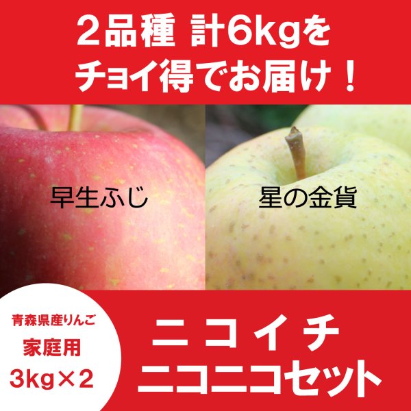 画像1: 【ニコイチセット】早生ふじ＆星の金貨　家庭用　３kg×２箱 ≪送料込≫ (1)