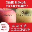 画像1: 【ニコイチセット】早生ふじ＆シナノゴールド　家庭用　３kg×２箱 ≪送料込≫ (1)