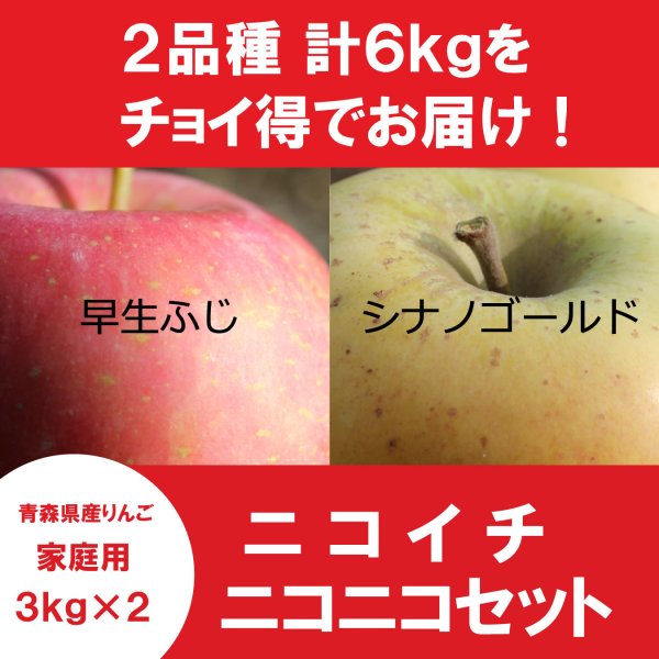 画像1: 【ニコイチセット】早生ふじ＆シナノゴールド　家庭用　３kg×２箱 ≪送料込≫ (1)