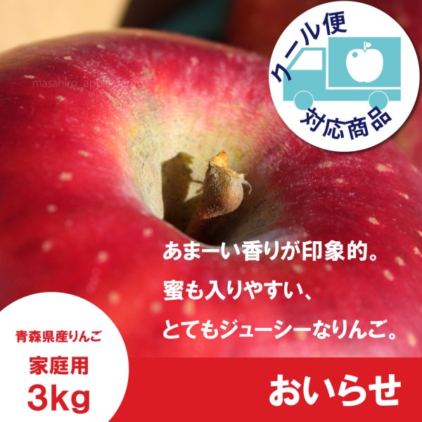 画像1: おいらせ　家庭用　３kg（約6-7個）≪送料込≫ (1)