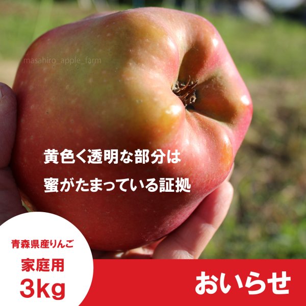 画像3:  おいらせ　家庭用　３kg（約6-9個）≪送料込≫ (3)