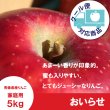 画像1: おいらせ　家庭用　５kg（約11-12個）≪送料込≫ (1)