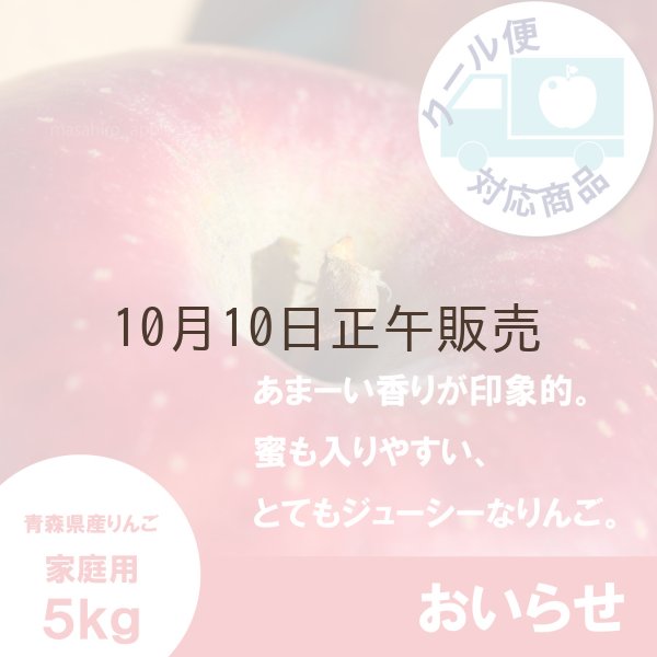 画像1: おいらせ　家庭用　５kg（約11-12個）≪送料込≫ (1)