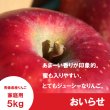 画像1: おいらせ　家庭用　５kg（約11-12個）≪送料込≫ (1)