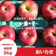 画像2: おいらせ　家庭用　５kg（約11-12個）≪送料込≫ (2)