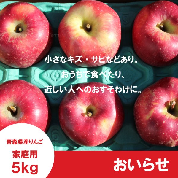 画像2: おいらせ　家庭用　５kg（約10-14個）≪送料込≫ (2)