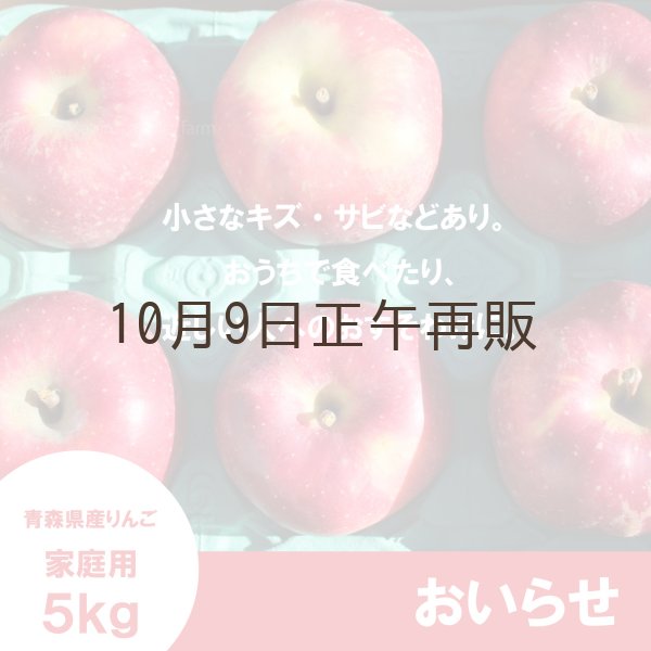 画像2: おいらせ　家庭用　５kg（約10-14個）≪送料込≫ (2)
